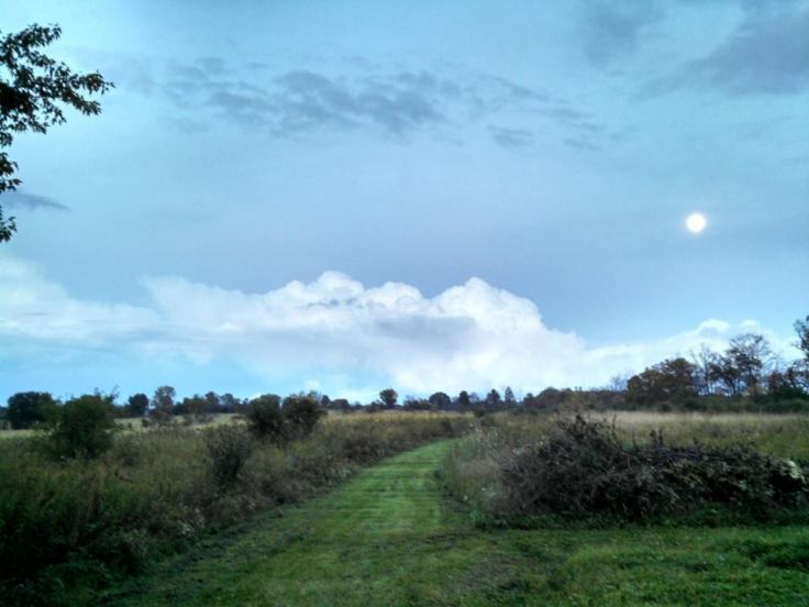 10262089_10204054476254662_5906242655802160962_n